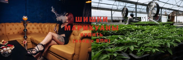 ГАЛЛЮЦИНОГЕННЫЕ ГРИБЫ Майский