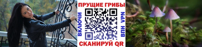 Галлюциногенные грибы Magic Shrooms  Луза 
